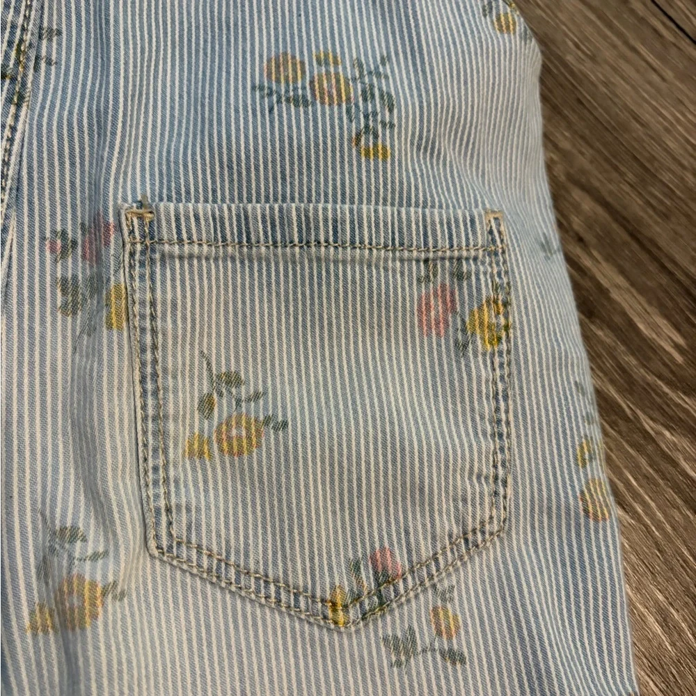 OshKosh B'gosh Light Blue Striped Overalls with Pastel Floral Print